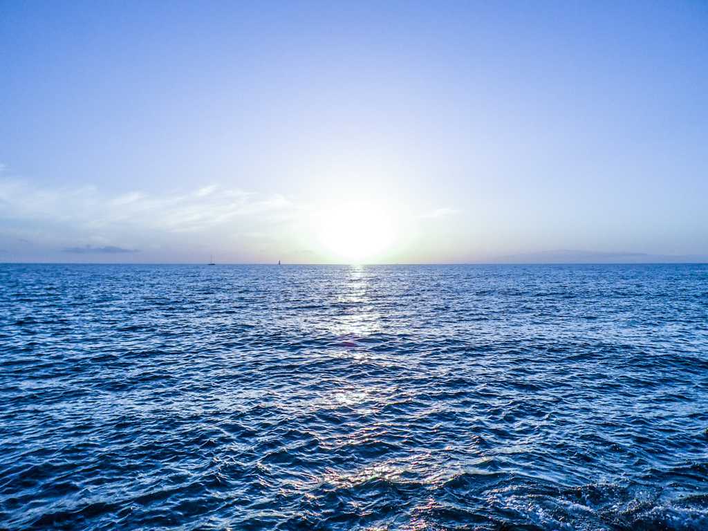 702a5734e06f3c30c95788e1b014b409_b72e5073d871b41f365c34ffdac6f7a3.jpg